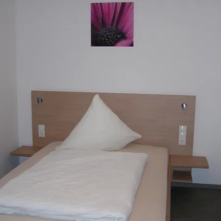 宾馆 Gaestehaus Zur Promenade